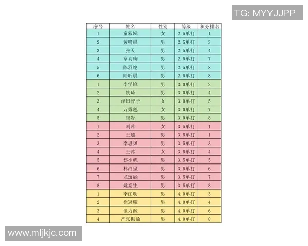 上海网球队在全国网球团队协作排行榜中荣获第八名的佳绩分析